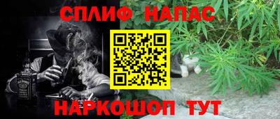 сатива Заволжье