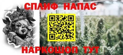 сатива Заволжье