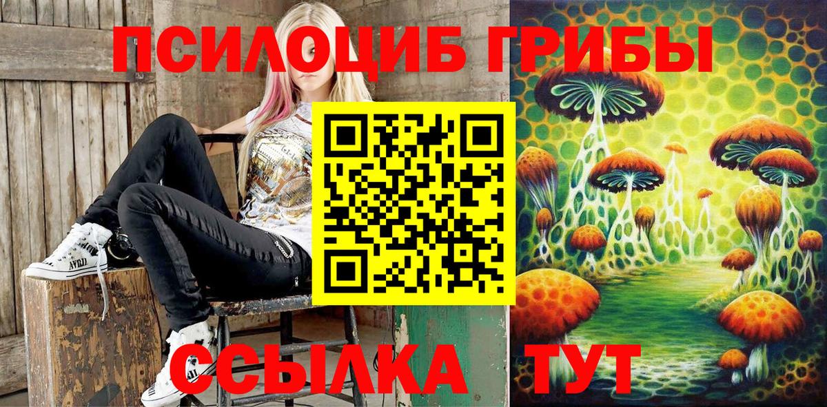 Псилоцибиновые грибы прущие грибы Отрадное